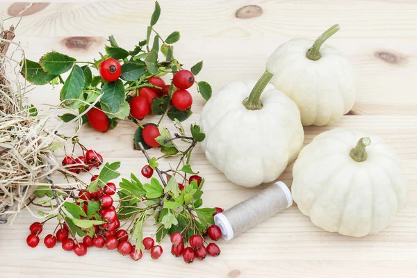 Calabazas de baby boo blanco, rosa mosqueta y bayas de espino sobre madera — Foto de Stock