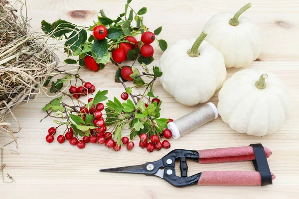 Белые тыквы, шиповник и ягоды боярышника на дереве — стоковое фото