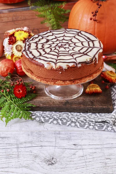 Halloween chocolate spider web cake and pumpkins around. — Stock Photo, Image