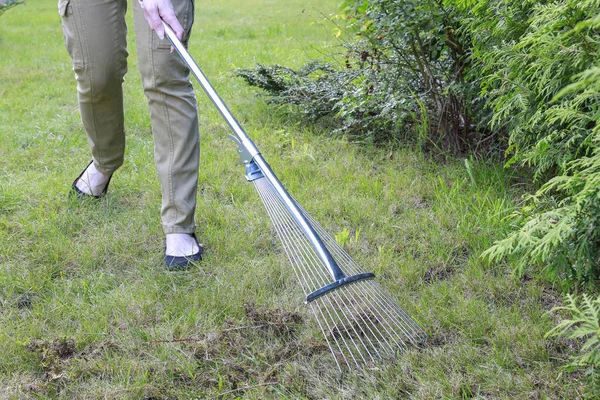 Gazon raking. Werken in de tuin. — Stockfoto