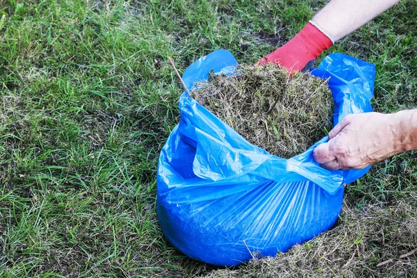 Worek na śmieci z raked trawy. Grabanie trawników. — Zdjęcie stockowe