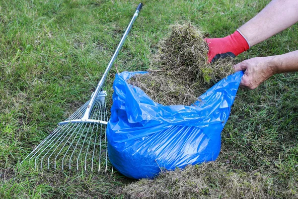Мусорный мешок с лопатой травы. Грабёж . — стоковое фото