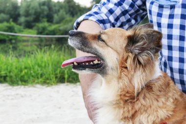 Ahşap iskelede oturan adam ve köpeği. 