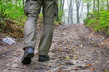 Gezgin karanlık bir ormanda yürür.. 