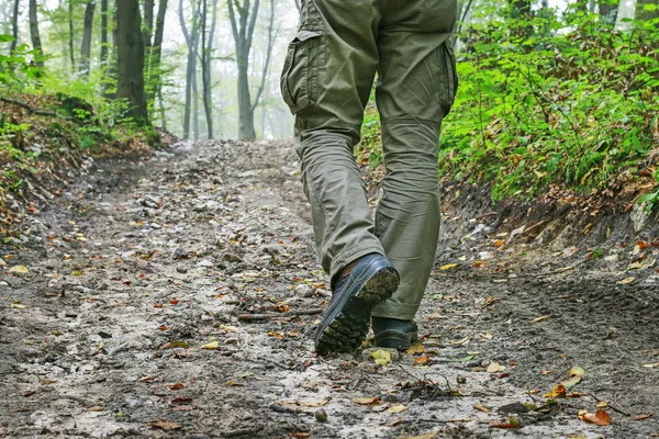 El viajero camina por el camino a través de un bosque oscuro . —  Fotos de Stock