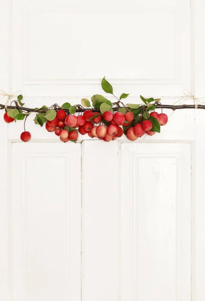 낙원 사과로 만든 가을 문 장식 (말루스 푸밀라 밀 — 스톡 사진