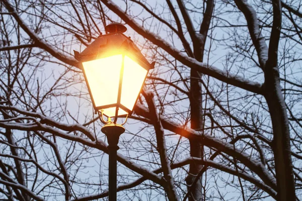 Lanterna de ferro vintage e ramos cobertos de neve na véspera — Fotografia de Stock