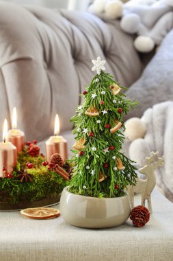 Thuja dalları ve yosun yapılmış köknar şeklinde Noel dekorasyon. 