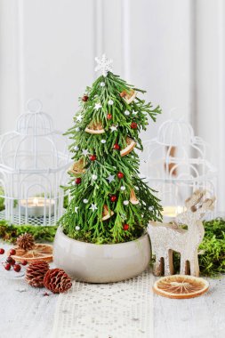 Nasıl th kullanarak köknar şeklinde güzel Noel dekorasyon yapmak
