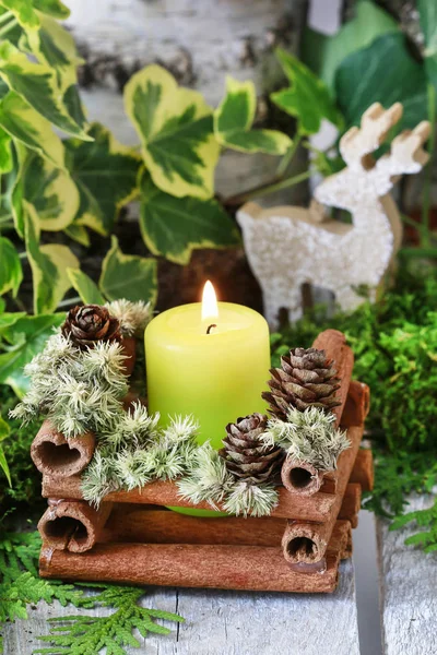 Candle holder made of cinnamon sticks and moss. — Stock Photo, Image