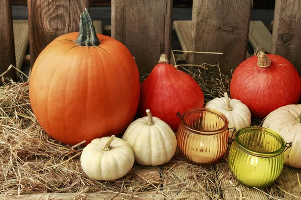 Decoraciones de otoño con calabazas, heno, hojas y hermosa lant —  Fotos de Stock