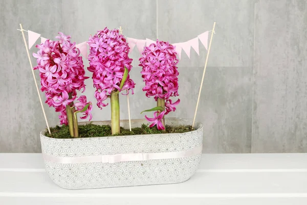 Como fazer bela decoração de mesa com flor de jacinto rosa — Fotografia de Stock