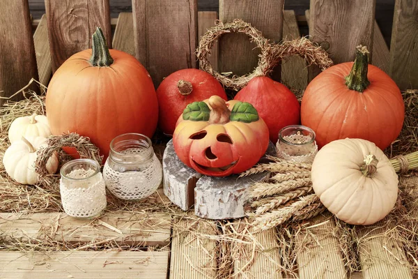 Autumn decorations with pumpkins, hay, leaves and beautiful lant — Stock Photo, Image