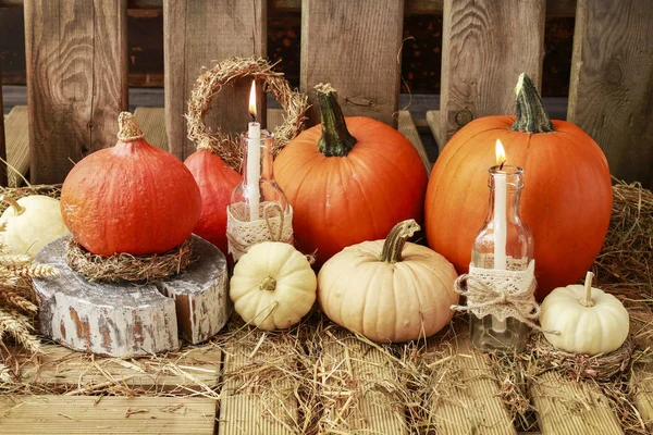 Autumn decorations with pumpkins, hay, leaves and beautiful lant — Stock Photo, Image