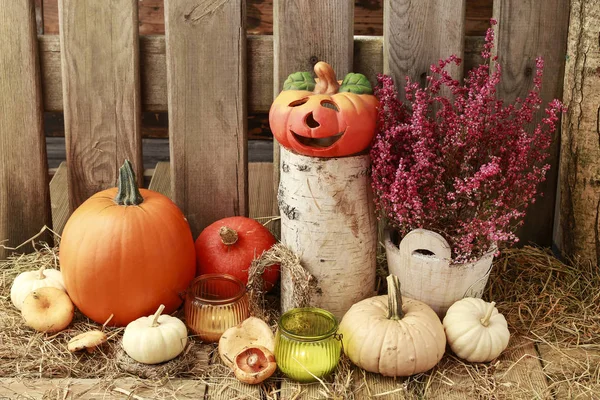 Décorations d'automne avec citrouilles, foin, feuilles et beau lant — Photo