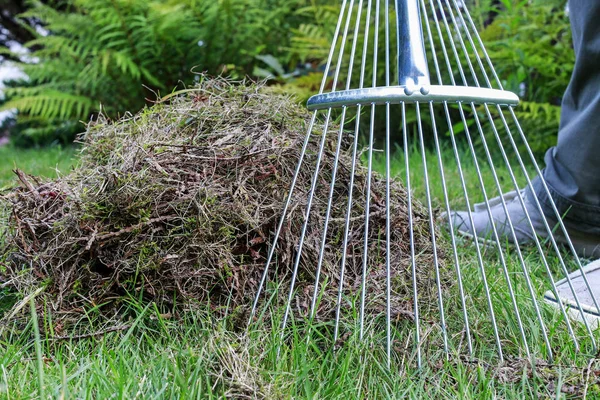 Gazon raking. Werken in de tuin. — Stockfoto