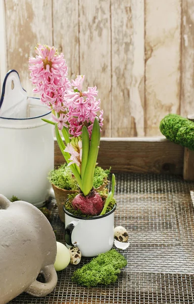 Hyacinth flowers. Easter table decoration idea. — Stock Photo, Image
