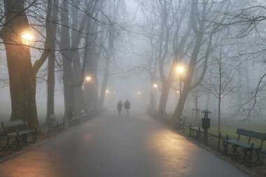 Sisin içinde yürüyen bir çift. Planty Park'ta Ekim sabahı