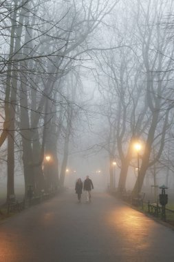 Sisin içinde yürüyen bir çift. Planty Park'ta Ekim sabahı