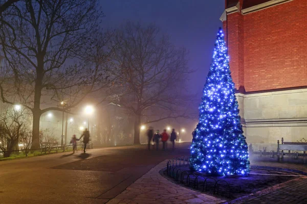 クラクフ, ポーランド - 12月 06, 2015: 伝統的なクリスマスツリー — ストック写真