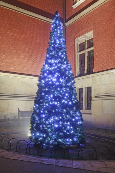 Krakow, Polonya - 06 Aralık 2015: Geleneksel noel ağacı