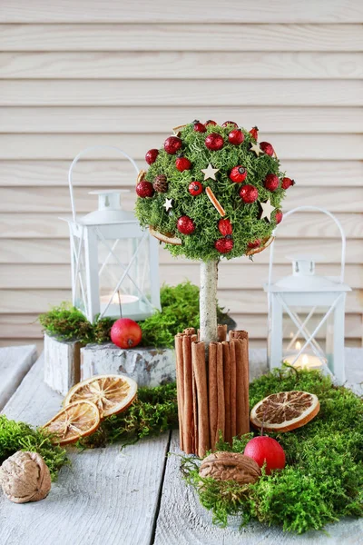 Bela decoração de Natal em forma de árvore com musgo, canela — Fotografia de Stock