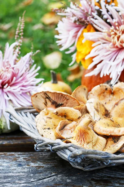 Boeket van bloemen in pompoen. — Stockfoto