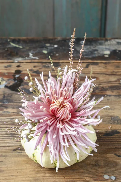 カボチャの花の花束. — ストック写真