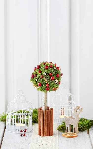 Decoración de Navidad en forma de árbol con musgo, palitos de canela y Imagen De Stock