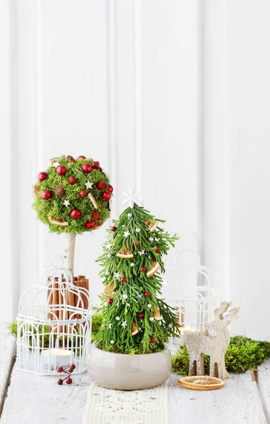 Decoración de Navidad en forma de árbol con musgo, palitos de canela y Fotos De Stock