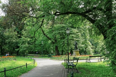 Krakow, Polonya - 12 Haziran 2017: Planty, public city park