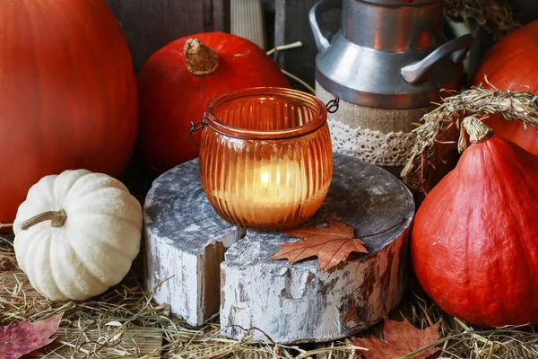 Linterna de vidrio y calabazas alrededor. Decoración tradicional otoño —  Fotos de Stock