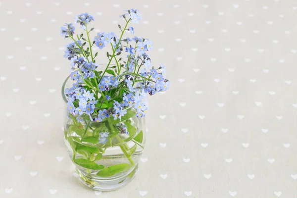 Forget me not flowers. — Stock Photo, Image