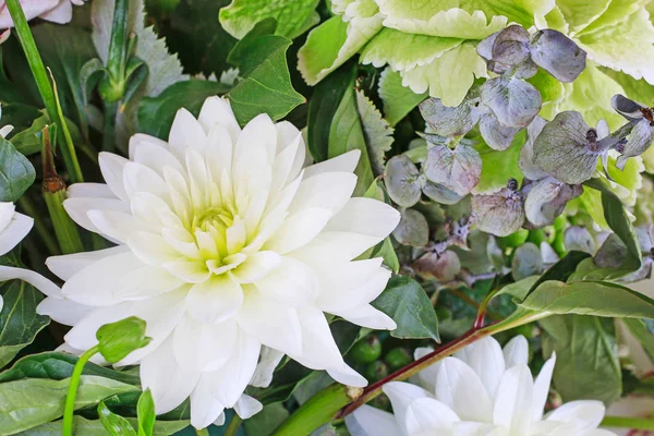 Matrimonio composizione floreale con ortensie (ortensie), dalie — Foto Stock