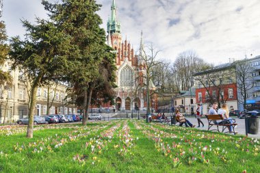 Krakow,Polonya - 11 Nisan 2018: Güzel bahar çiçek yatağı