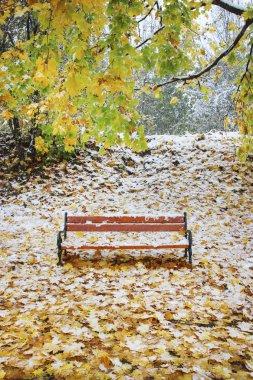 Kar larla kaplı renkli yapraklar. Sokak tarafından ahşap bank.