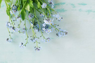 Mavi kağıt arka planda unut-me-değil çiçekler. 