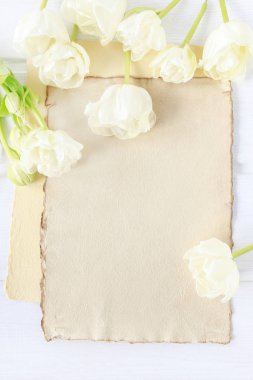 Kağıt arka plan üzerinde beyaz laleler