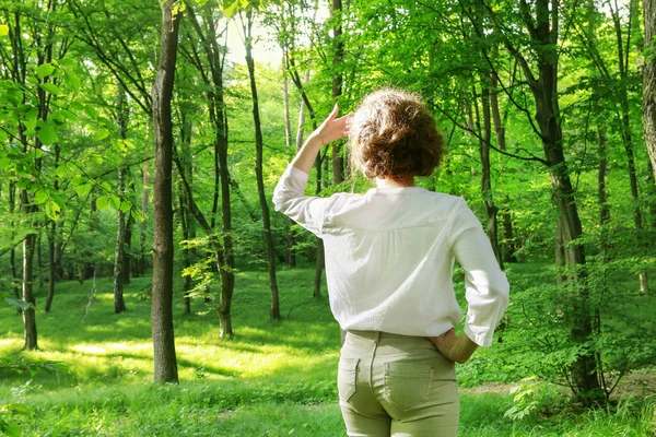 Mulher viajante na floresta de verão . — Fotografia de Stock