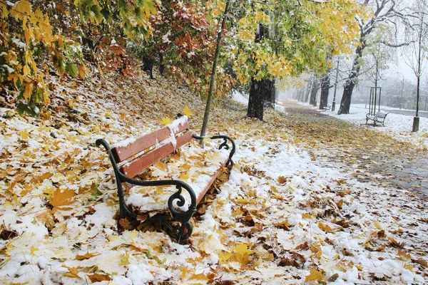 Foglie colorate coperte di neve. Panca in legno vicino al vicolo . — Foto Stock