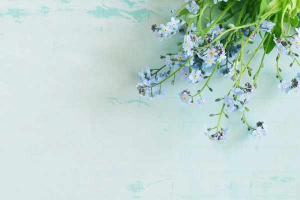 Glöm-mig-inte blommor på blått papper bakgrund. — Stockfoto