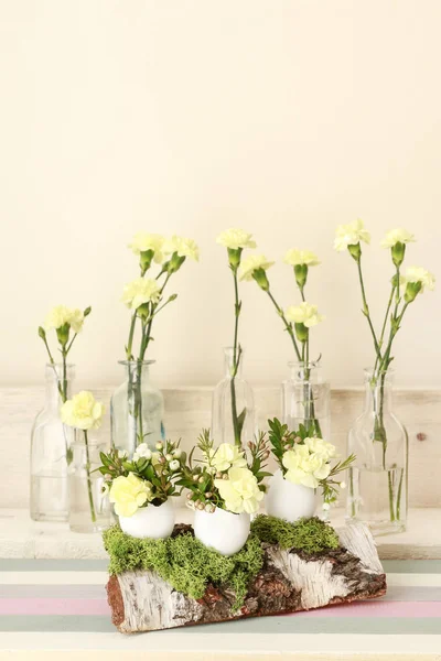 Húsvéti dekoráció tojáshéj, szegfűvirág, Buxus, kaméleon — Stock Fotó