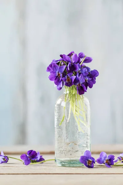 Букет з крихітних фіолетових (Vola odorata) на дерев'яному столі — стокове фото