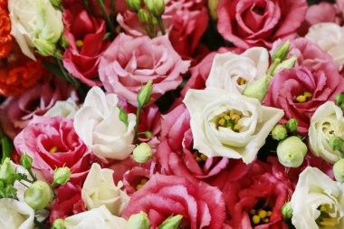 Pembe lisianthus (eustoma) çiçekleri.