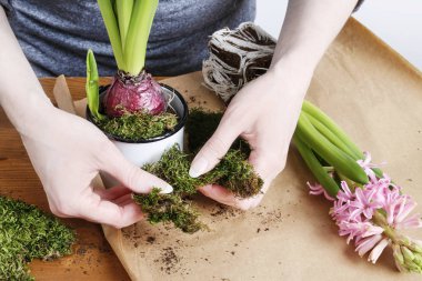 Nasıl pembe sümbül çiçekleri ile Paskalya masa dekorasyon yapmak, 