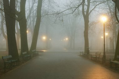 Krakow, Polonya - 06 Aralık 2015: Planty Park'ta sisli akşam