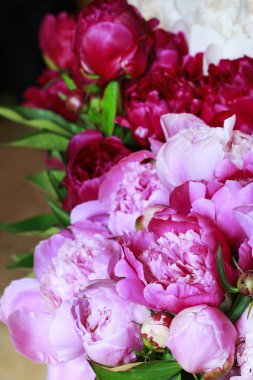 Pembe peonies arka plan. 