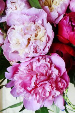 Pembe peonies arka plan. 
