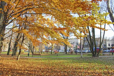 Krakow,Polonya - 09 Eylül 2018: Pod'da güzel sonbahar parkı