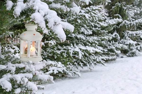 白灯笼挂在冷杉树枝上。花园覆盖着 sn — 图库照片